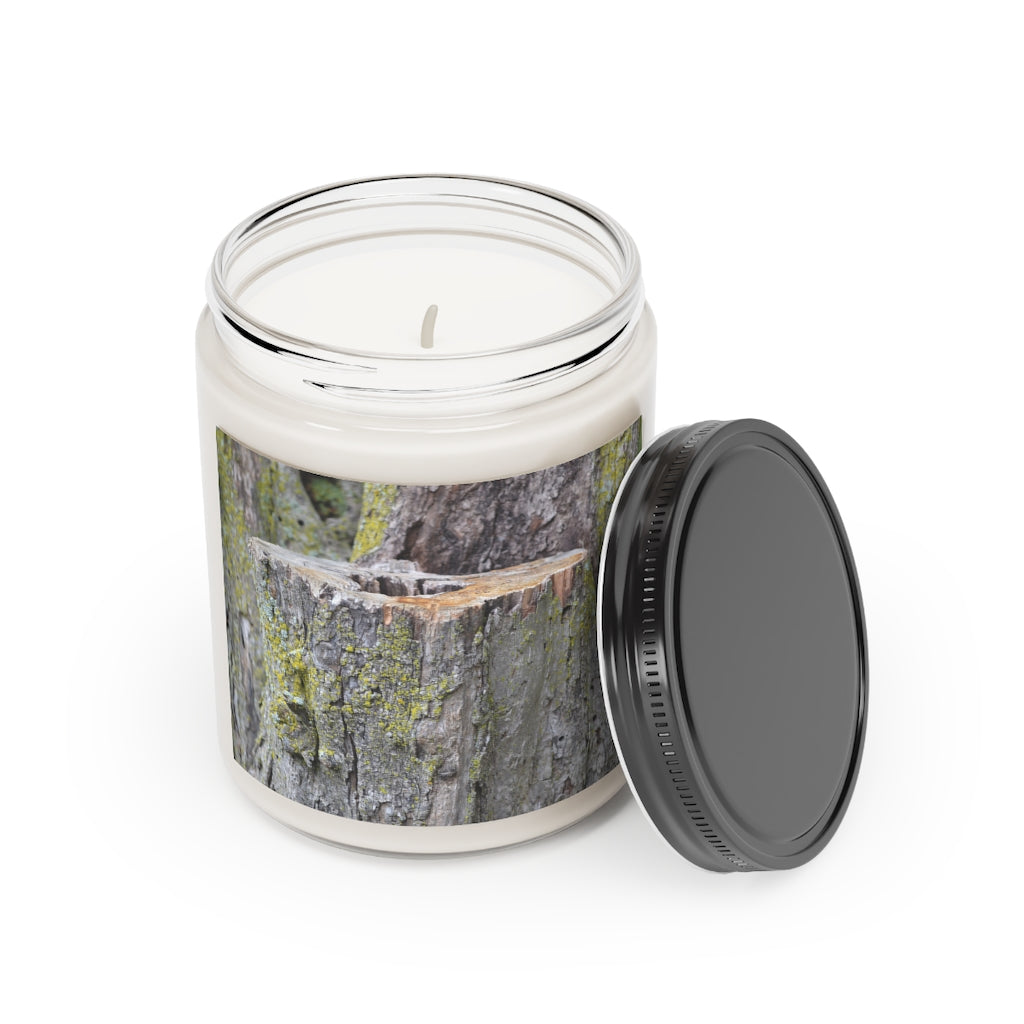 Tree Stump Scented Candle, 9oz